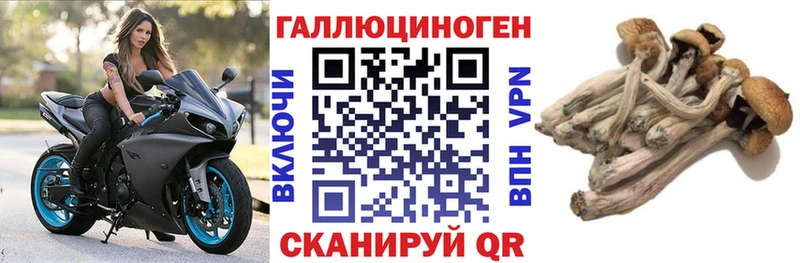 Псилоцибиновые грибы мицелий  дарнет шоп  Артём 